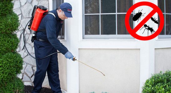 Ulus Tahtakurusu İlaçlama böcek ilaçlama ve haşere kontrolü — ilaclama-tr.com